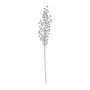 Berry Stem Silver 75cm