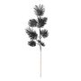 Glitter Feather Leaf Stem Black