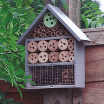 Insect Hotels Cat
