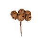 Bells on wire  x 6 3cm Rusty 