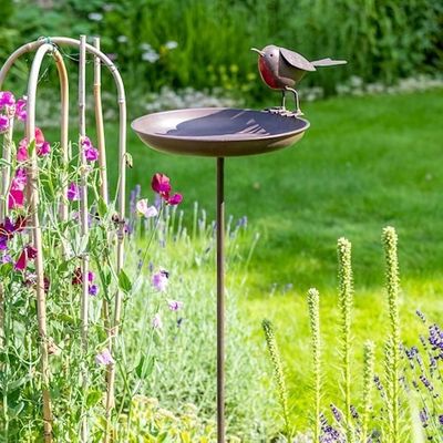 Robin Birdtable