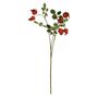 Balmoral Rose Hip 