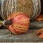 Pumpkin Pick Plaited 7x7x24cm