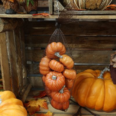Pumpkins in Netted Bag Assorted Orange x 12