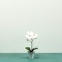 Aragon Phalaenopsis-White in Ceramic Pot -1 stem H38cm(1/12)