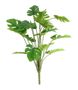 Plant House Monstera 46cm (12/60)