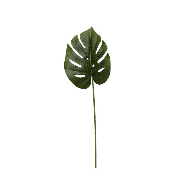 Monstera leaf 60cm (12/240)
