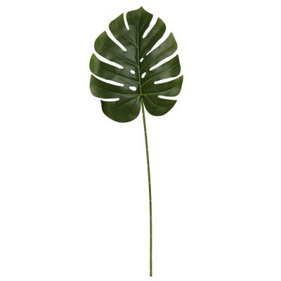 Monstera leaf 76cm (12/240)