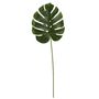 Monstera leaf 76cm (12/240)