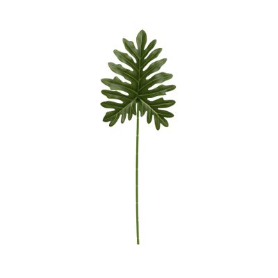 Philo leaf 60cm (12/240)