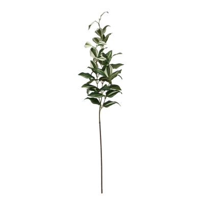 Tradaescantia spray 74cm Green (12/216)