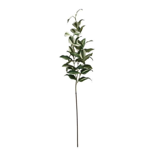 Tradaescantia spray 74cm Green (12/216)