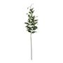 Tradaescantia spray 74cm Green (12/216)