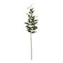 Tradaescantia spray 74cm Green (12/216)