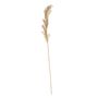 Dry look grass spray 65cm (12/144)