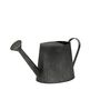 Watering Can Planter Charlcoal - 20cm