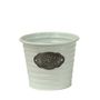 Metal Flower PoT White - 16cm