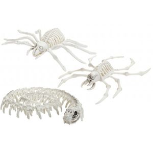 skeleton animals