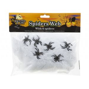 Jumbo Spiders Web