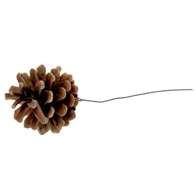Austriaca Cones on Wire (pack of 300)