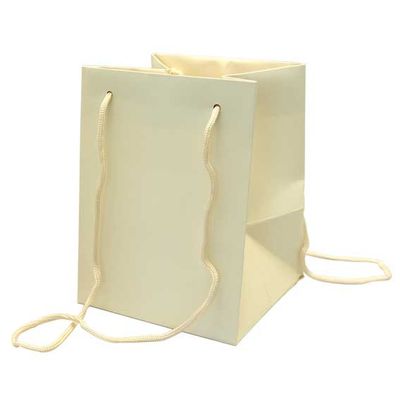 Ivory Hand Tie bag