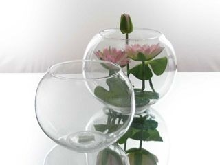 Fish Bowl Vase