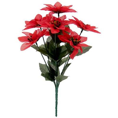 Red Poinsettia Bush - Small