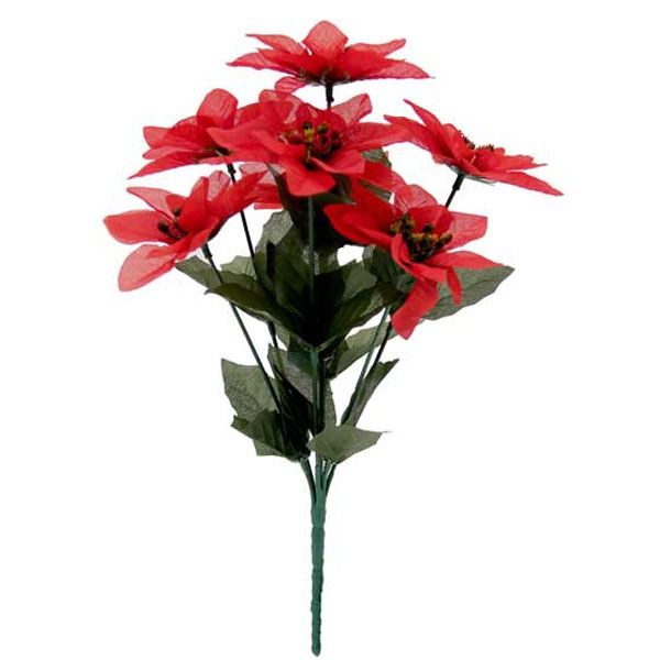 Red Poinsettia Bush - Small