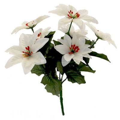 White Poinsettia Spray