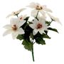 White Poinsettia Spray