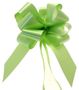 Lime Green Pull Bow