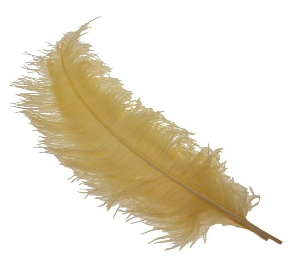 Gold Ostrich Feathers