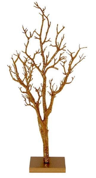 Gold Manzanita Tree