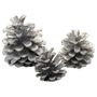 Silver Austracia Cones