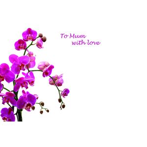 To Mum With Love Greetings Card