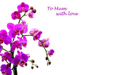 To Mum With Love Greetings Card