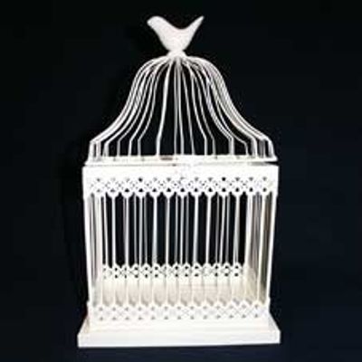 40cm Rectangle Bird Cage