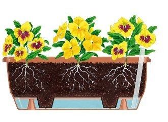 Stewart 40cm Balconniere Square Planter - Terracotta