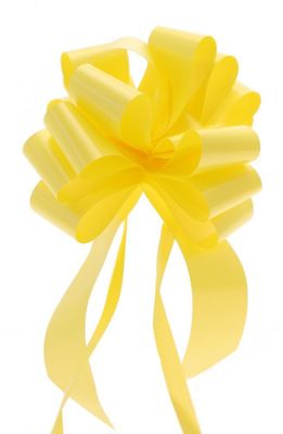 Daffodil Pull Bow