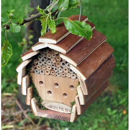Kingfisher Insect and Bee Hotel