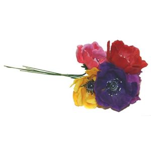 DCP504-Anemone