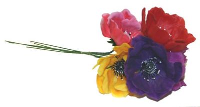 DCP504-Anemone