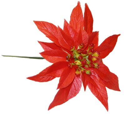 DCP513-Red-Poinsettia