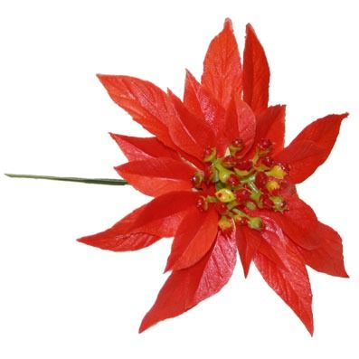 DCP513-Red-Poinsettia