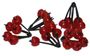 DCP515-Cluster-berry