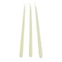 Super Long Ivory Taper Candles