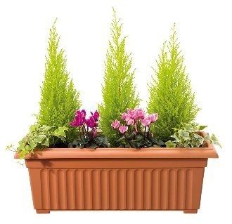 Stewart 70cm Corinthian Trough  - Terracotta