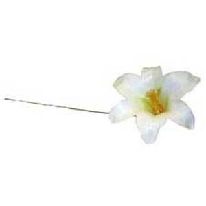 White Large Harissi Lily