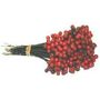 Red Plastic Berry Pick