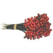 Red Plastic Berry Pick